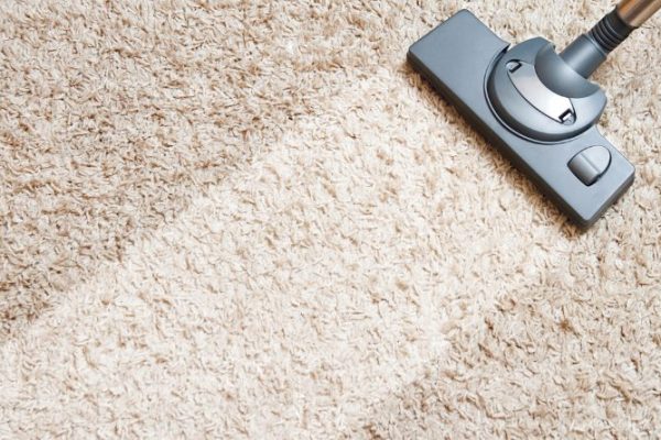 What are the advantages of a carpet cleaner company?